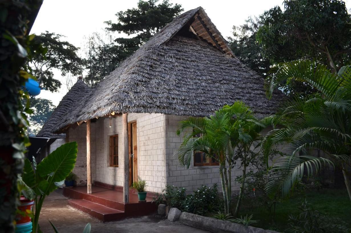 Charming Eco-Homestay Near Kilimanjaro International Airport Аруша Экстерьер фото