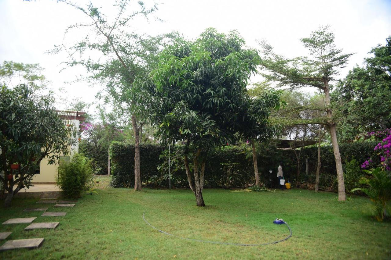 Charming Eco-Homestay Near Kilimanjaro International Airport Аруша Экстерьер фото